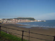 rosesrun2006001.jpg