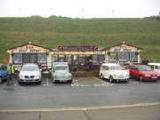 rosesrun2006006.jpg