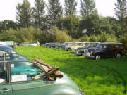 rosesrun2006012.jpg
