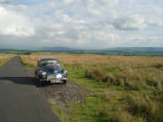 rosesrun2006029.jpg