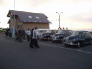 rosesrun2006031.jpg