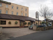 rosesrun2006037.jpg