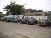 rosesrun2006040.jpg